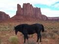 A horse take rest with rocks in the background, หุบเขาโมนูเมนต์, สหรัฐอเมริกา, อเมริกา