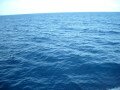 Caribbean Sea, Les Saintes - Islands of the Saints, Guadeloupe, America