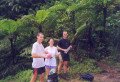 On the way on the 2nd waterfall, Water falls of carbet, Guadeloupe, America