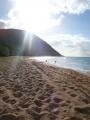 Plage de Grande Anse, Deshaies Grande Anse, Guadeloupe, Amérique