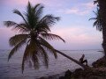 Bois Jolan beach, Sainte Anne, Guadeloupe, America