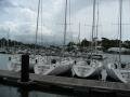la marina à Pointe à Pitre, Pointe a Pitre, Guadeloupe, America
