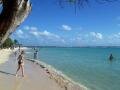 View of the Sainte Anne beach, Sainte Anne, Guadeloupe, America