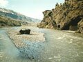 Rivière fraîche ..., Landmannalaugar, Islande, Europe