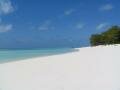 Juan de Nova beach