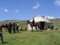 Stopping in a yurt to drink the Koumiss (fermented mare's milk)