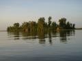 Bord du fleuve Niger, Niger (fleuve), Mali, Afrique