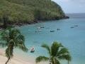 Anse Dufour : many fishs, Les Anses-d'Arlet, Martynika, Ameryka
