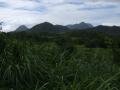 Around Morne-Rouge, Le Morne-Rouge, Martynika, Ameryka