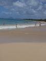 Salines beach, view 5, Sainte-Anne, Martynika, Ameryka