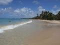Salines beach, view 7, Sainte-Anne, Martynika, Ameryka