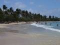 Salines beach, view 8, Sainte-Anne, Martynika, Ameryka