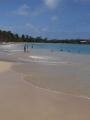Salines beach, view 6, Sainte-Anne, Martynika, Ameryka