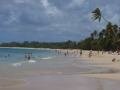 Salines beach, view 2, Sainte-Anne, Martynika, Ameryka