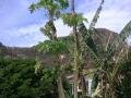 Anse du Gouverneur, Anse du Gouverneur, ilha de Saint-Barthélemy, América